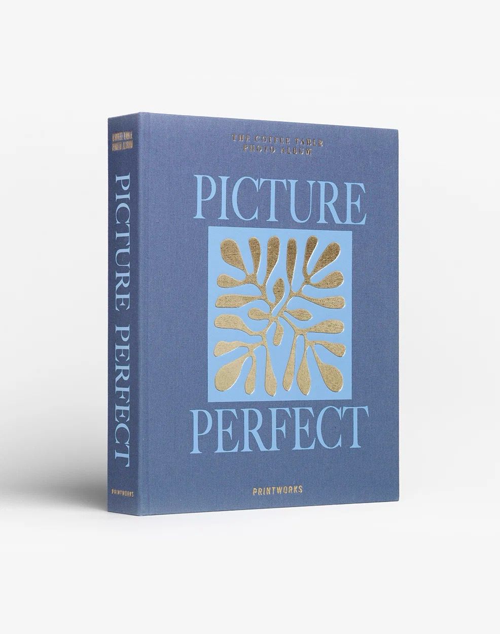 Photo Album - Perfect Pictures