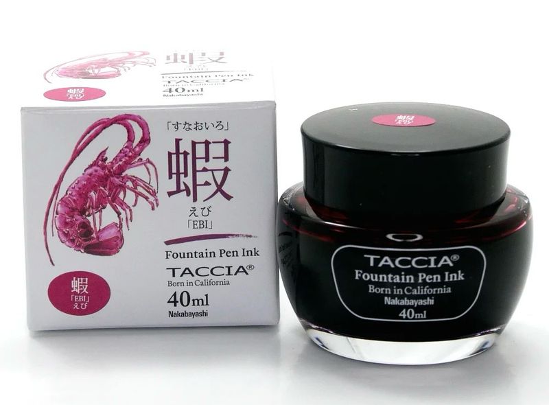 Taccia - Fontain Pen Ink Ebi
