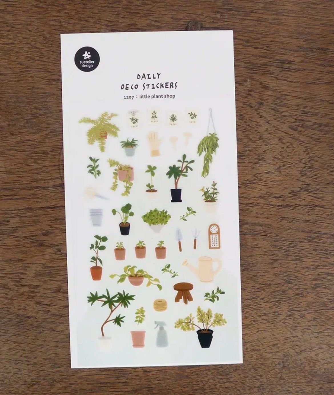 Little plant Shop