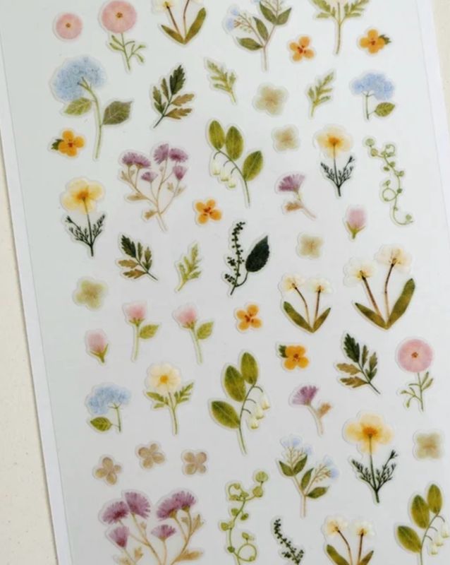 Dreamy blossoms
