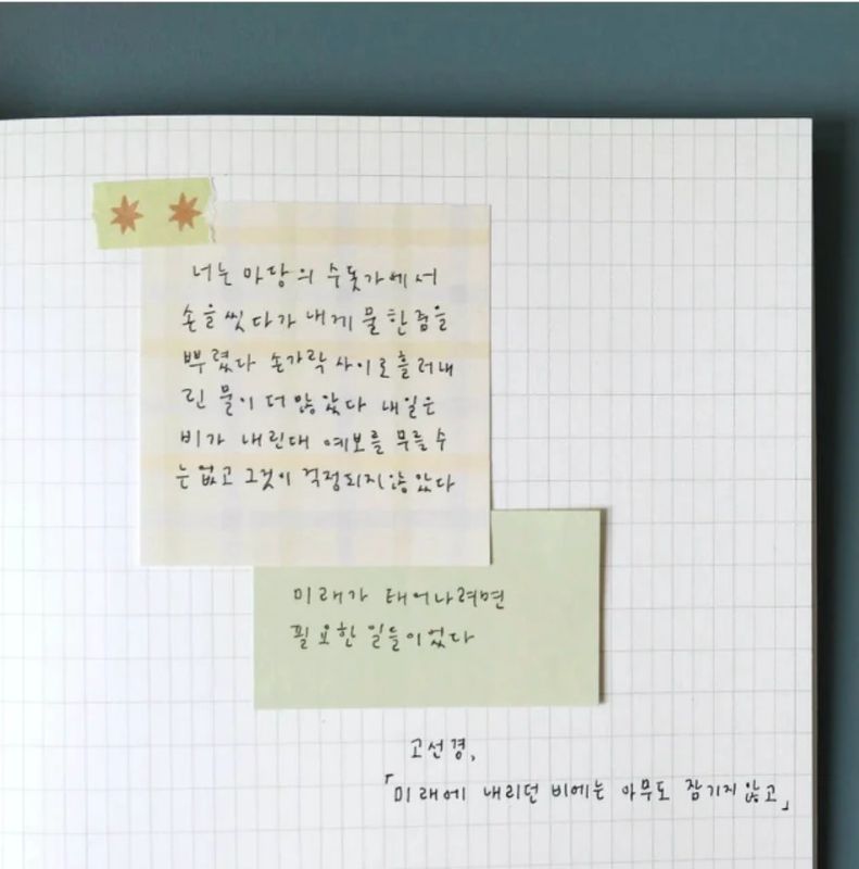 Daily Plan 59
