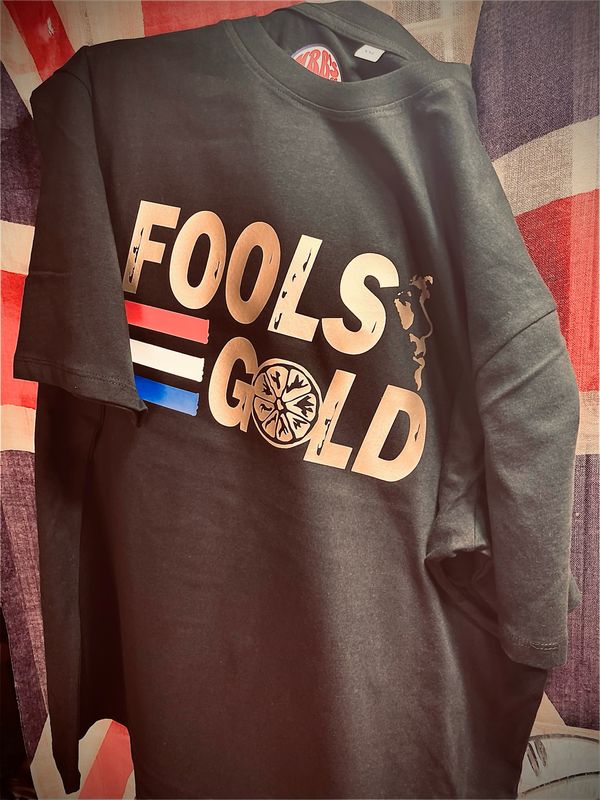 Fools Gold Organic Heavy Cotton T Shirt