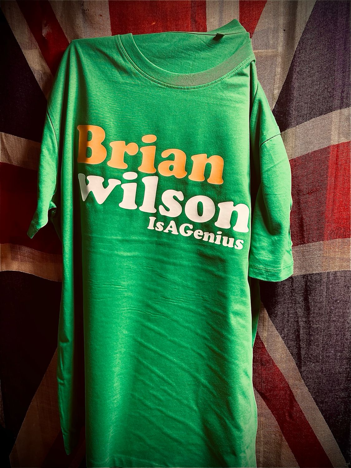 Brian Wilson Is A Genius Pet Sounds Style Organic Cotton T Shirt