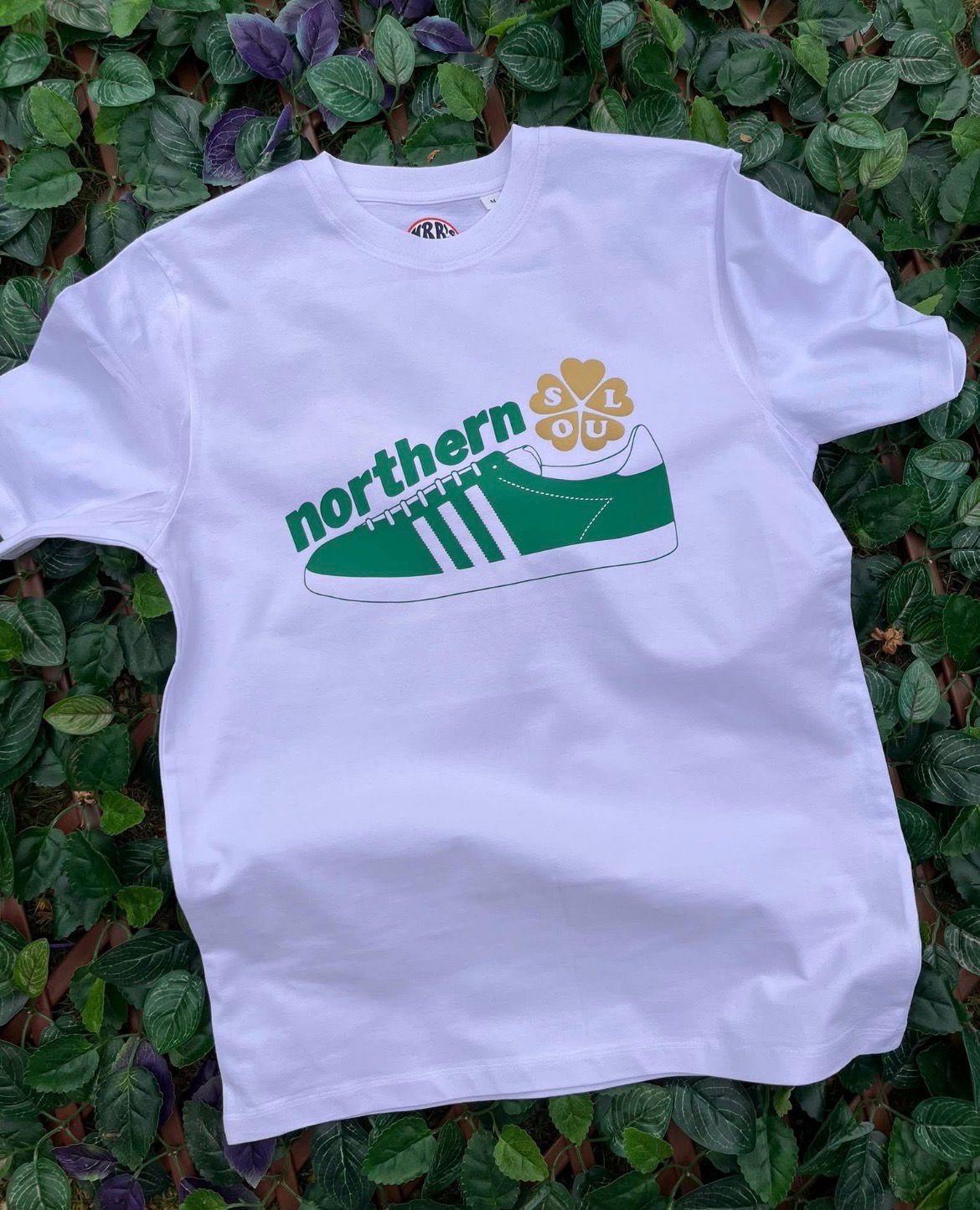 Northern Adisoul Organic  Heavy Cotton T Shirt
