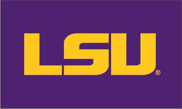 LSU Flag 3x5 Purple