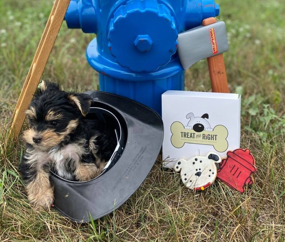 RESCUE IS SPOT ON ($4 donated) RESCUE IS SPOT ON ($4 donated)