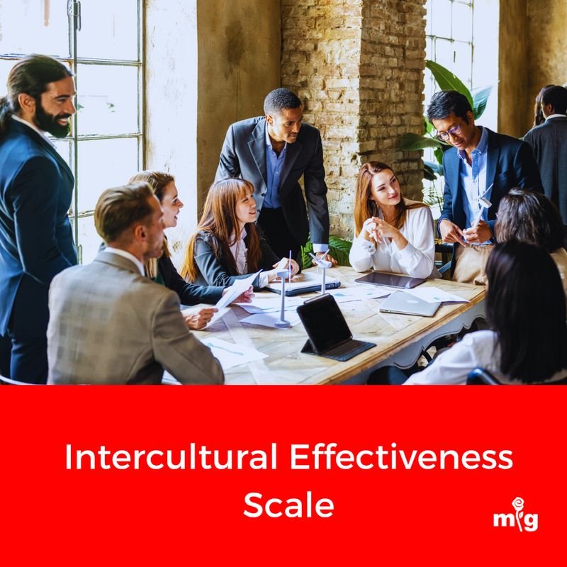 Intercultural Effectiveness Scale