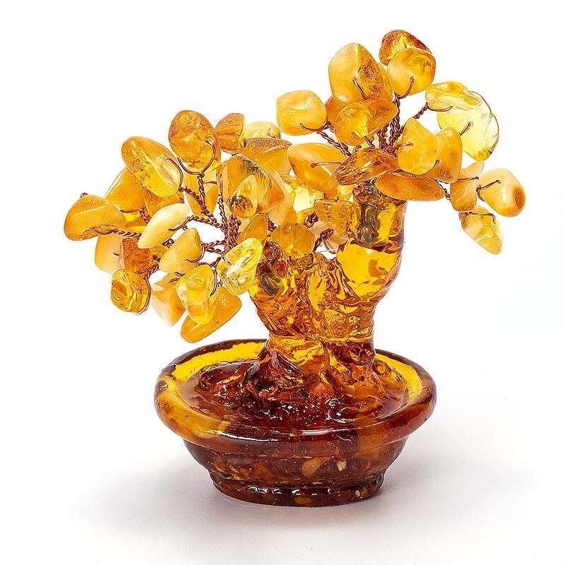 амбер дерево. янтарное дерево. янтарь на дереве. денежное дерево янтарь. янтарь на дереве.