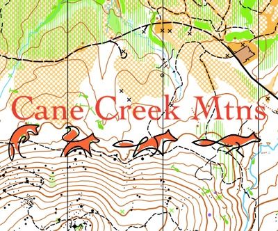 Cane Creek Mountains FoxChase Score-O