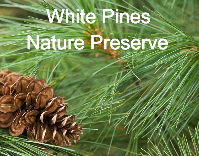 White Pines Nature Preserve Orienteering May 3rd, 2026