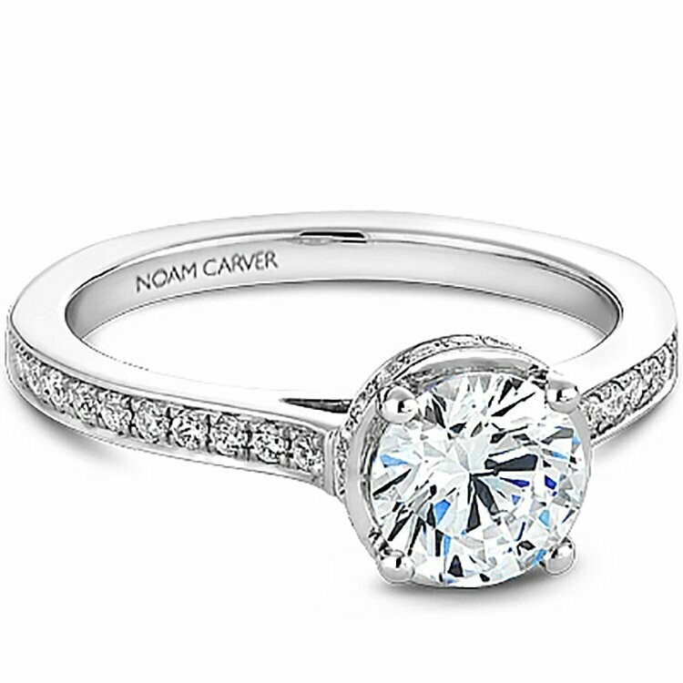 Hidden Halo Noam Carver Engagement Ring