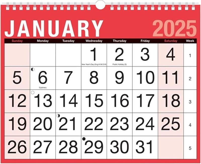 Easy View 2025 Monthly Planner/Calendar
