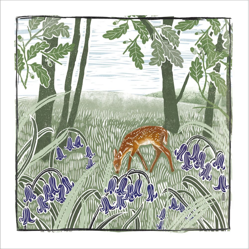 Bluebell Woods - From the Oak Press collection.