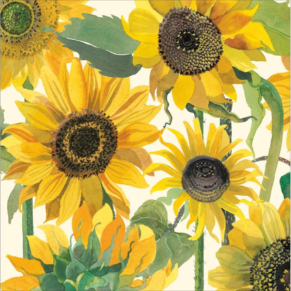 Sunflowers - From the Emma Bridgewater collection.
