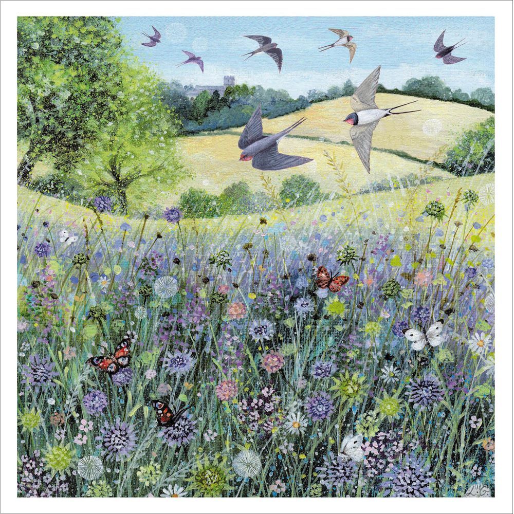 Butterflies and Wildflowers