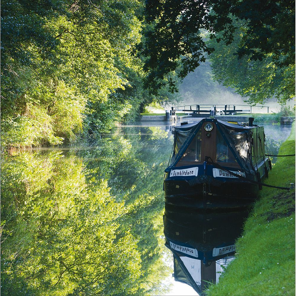 River Wey, Surrey - From the National Trust collection.