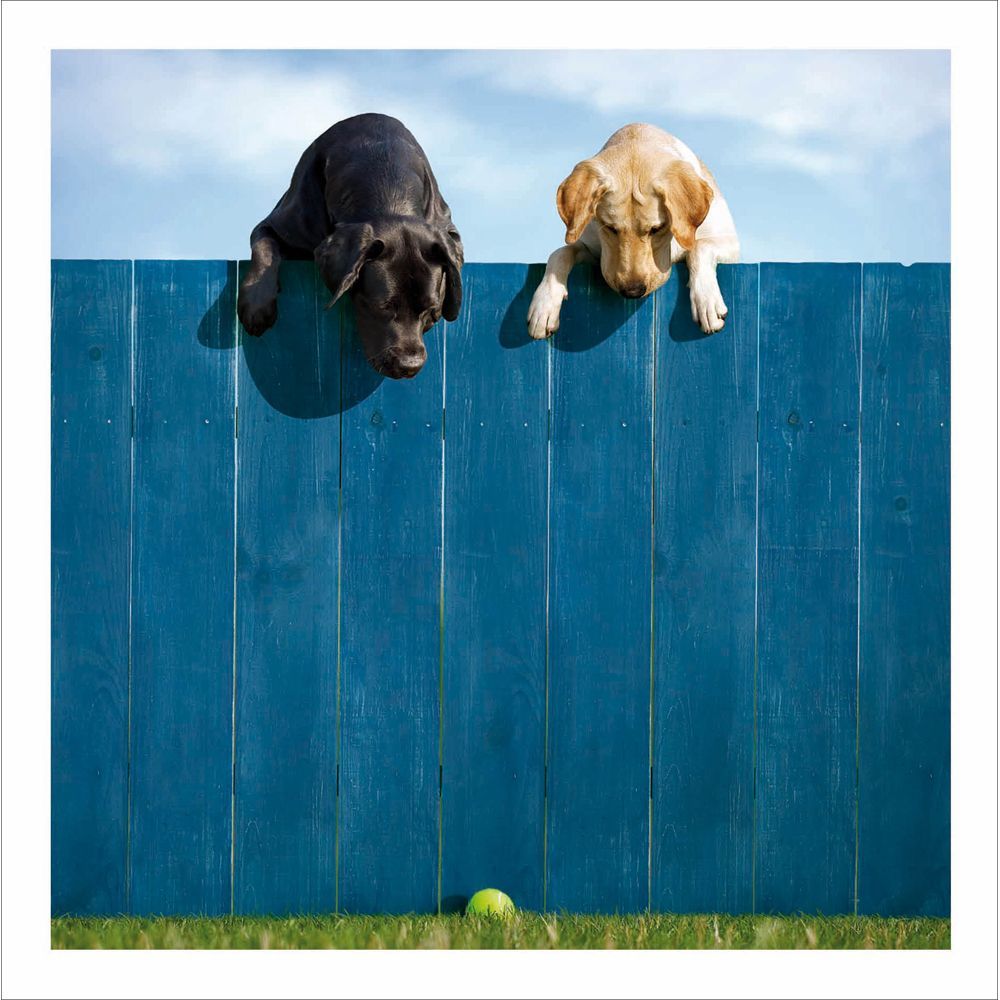 Lewie & Clark - Out of the Park