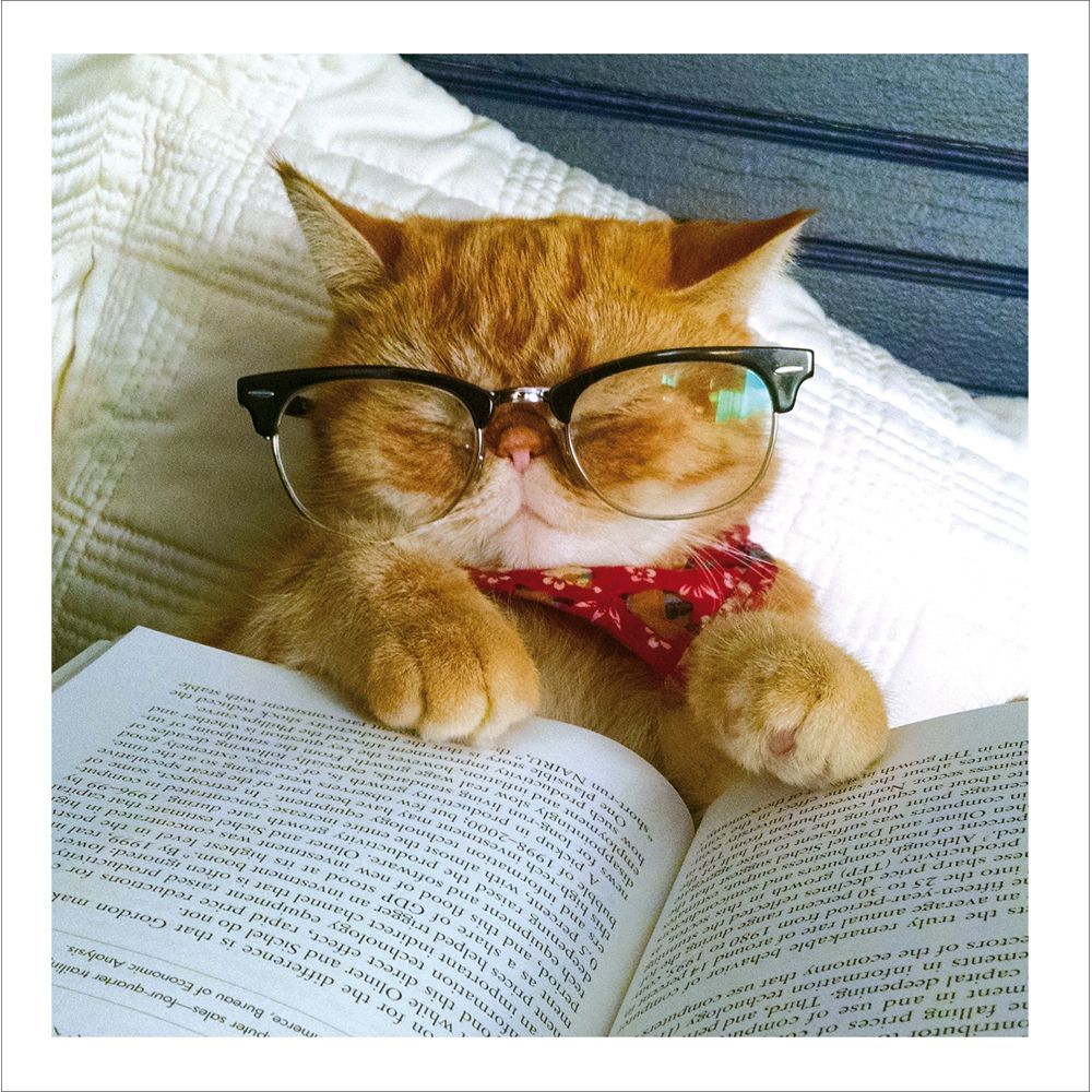 Bookworm