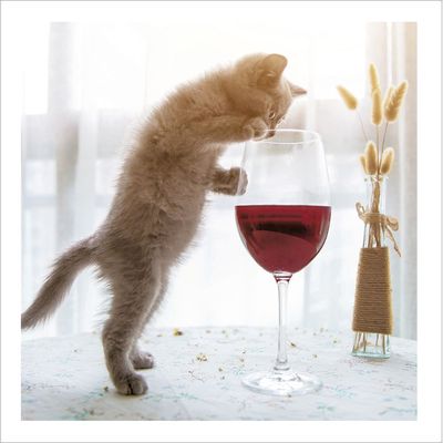 Just one glass