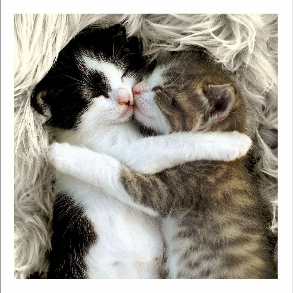 Snuggle Up