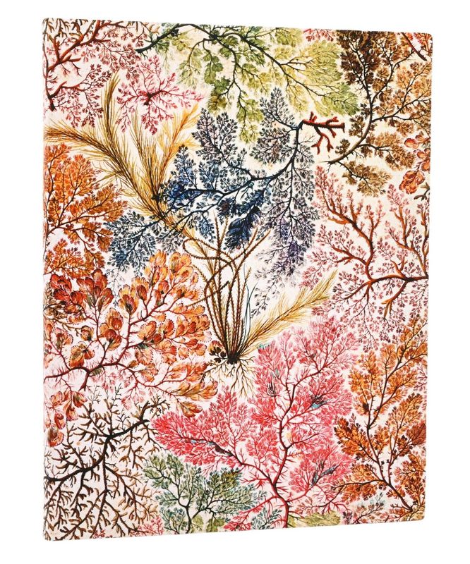 Paperblanks Flexis Softcover Ultra Lined Notebook - Anemone