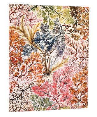 Paperblanks Flexi Soft cover Ultra Lined Notebook - Anemone