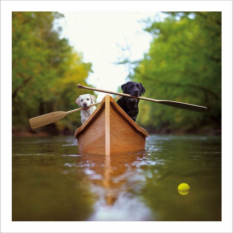 Lewie & Clark - The Adventurers