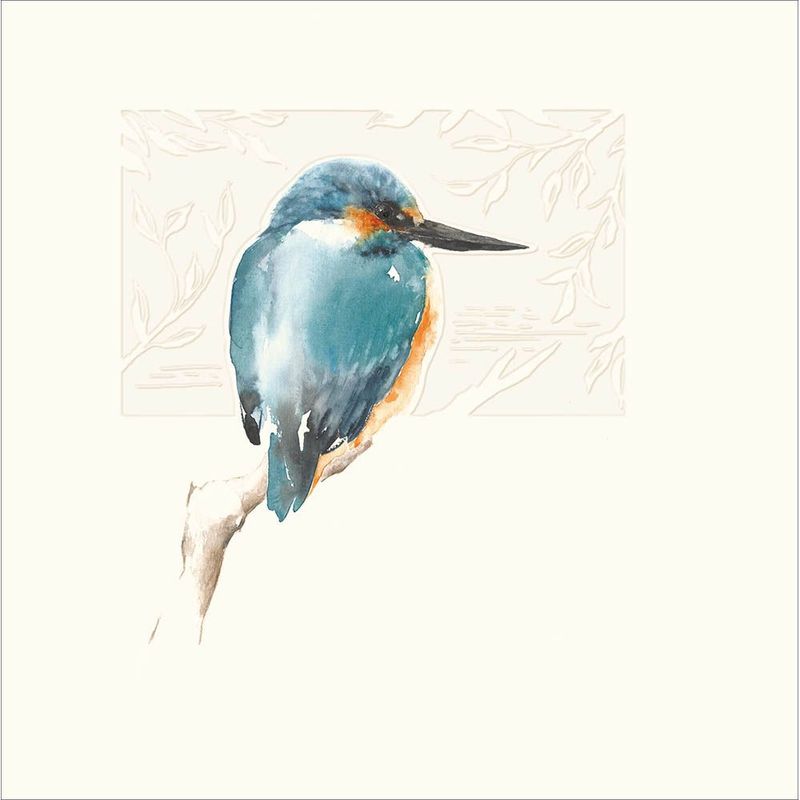 Bold Kingfisher