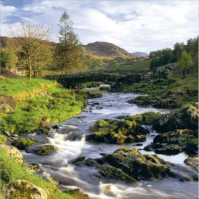 Watendlath Beck, Cumbria - From the National Trust collection.