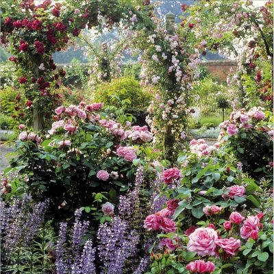 Mottisfont Abbey - From the National Trust collection.