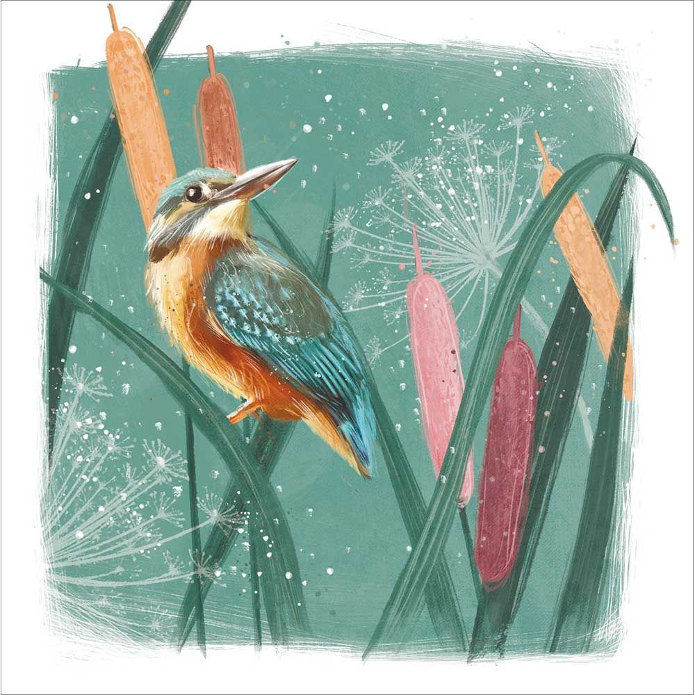 Beautiful Bird