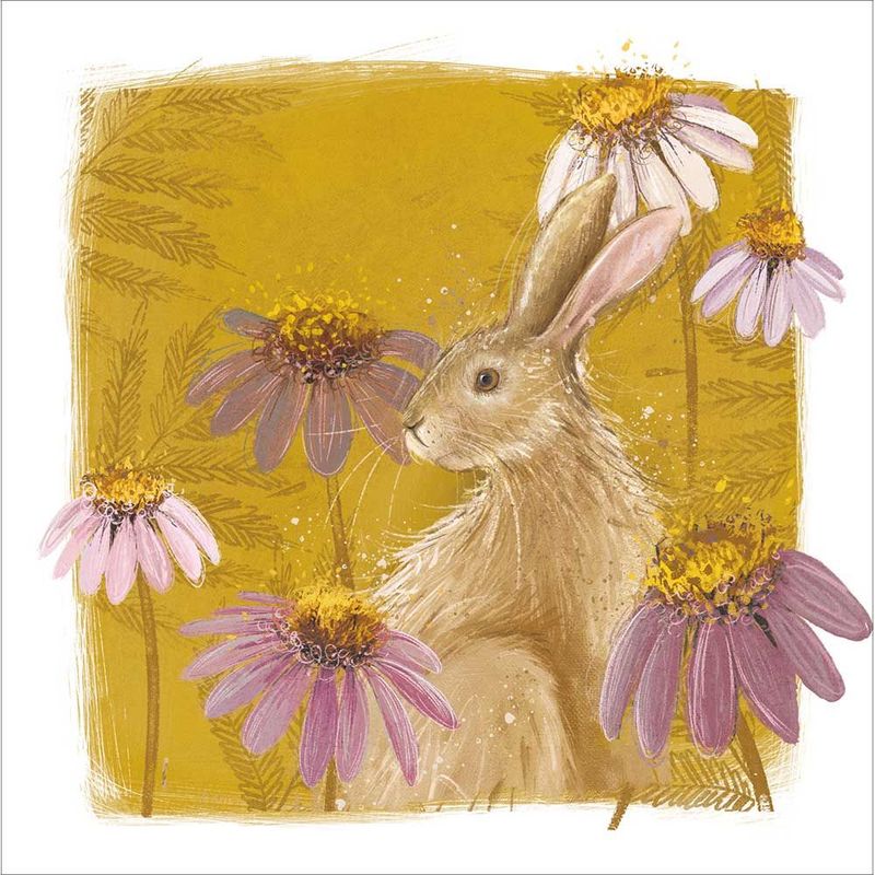 Mad As A Hare