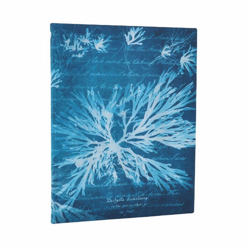 Paperblanks Flexi Softcover Ultra Lined Notebook - Sea Flowers