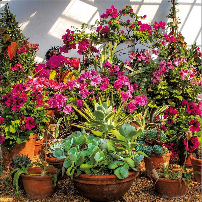 Walled Garden at Wimpole Estate - From the National Trust collection.
