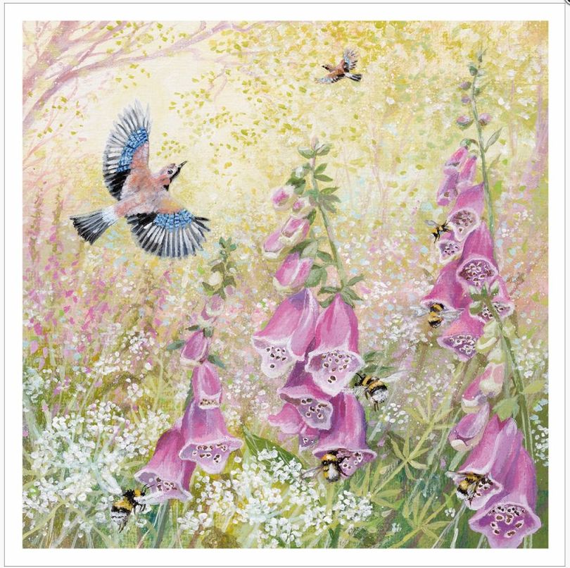 Field of Foxgloves - From the Lucy Grossmith collection.