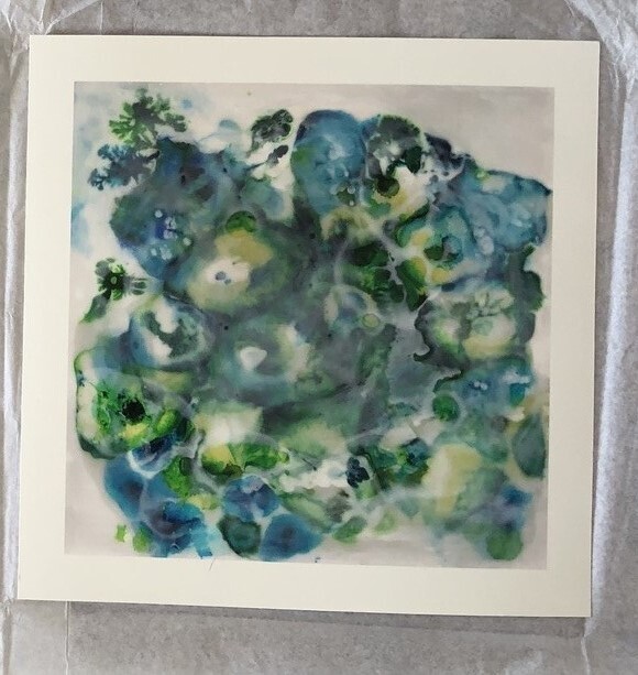 Blue Blossom (Unframed, unsigned, numbered print) 24 cm x 24 cm