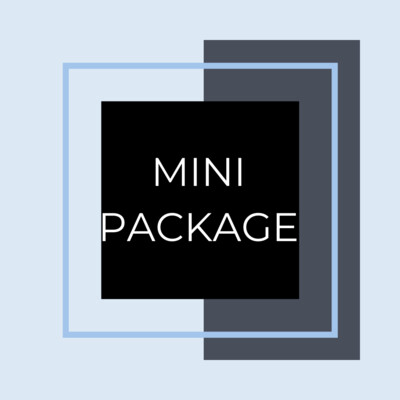 Mini Consultation Package