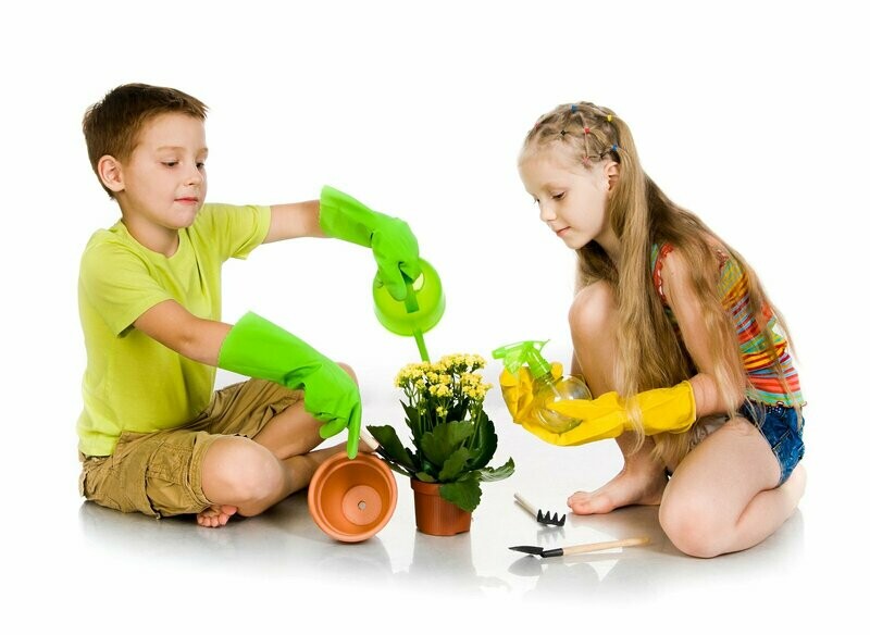 Outdoor Play