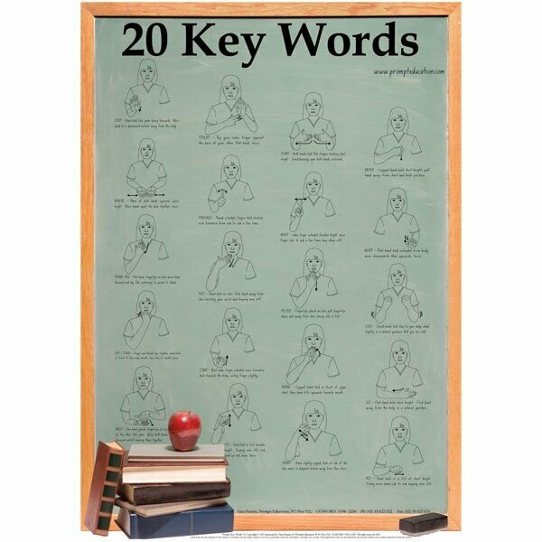 Poster - 20 Key Words - Auslan