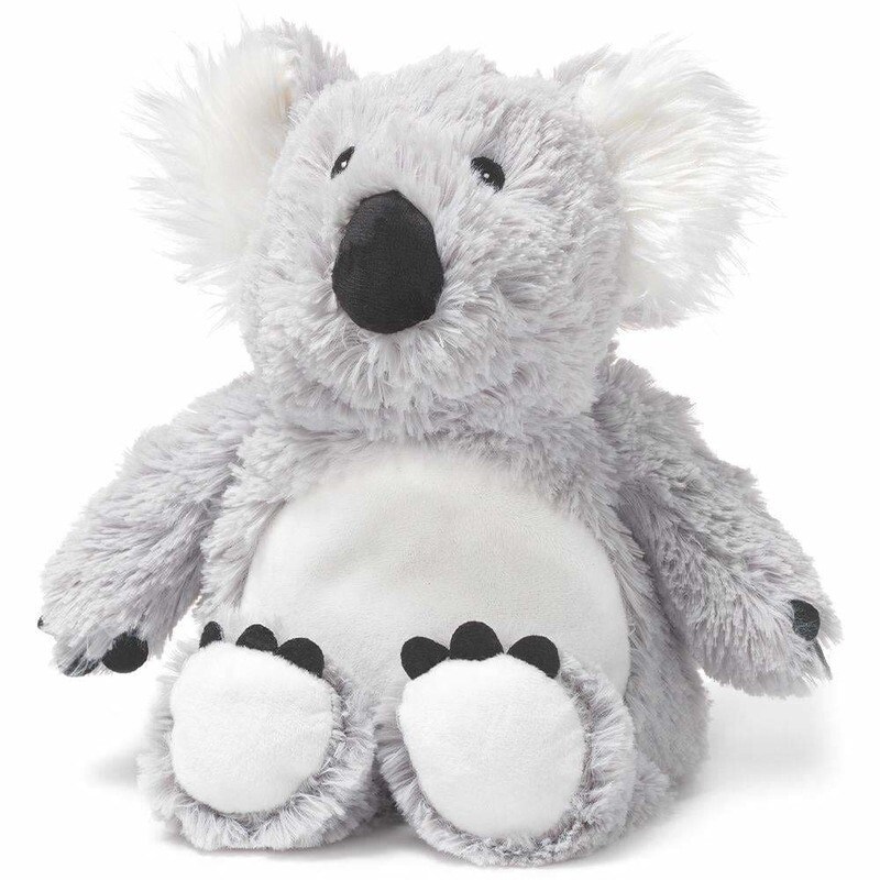Cozy Teddy - Friendly Koala