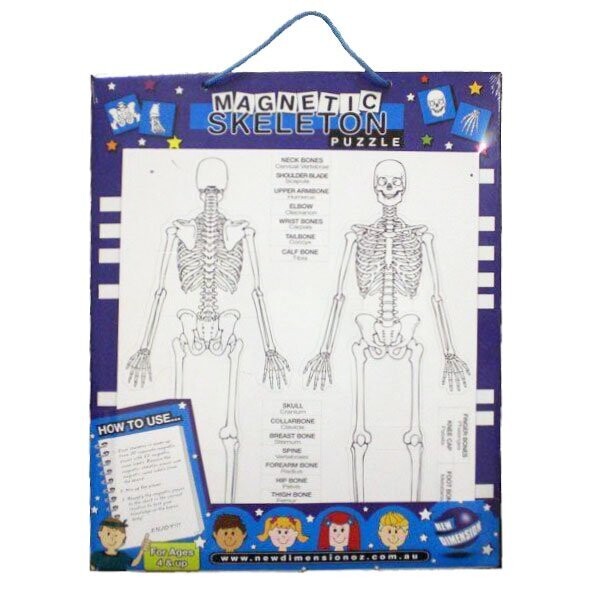 Magnetic Chart - Skeleton