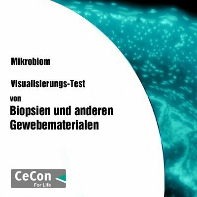 Visualisierungs-Test des Gewebematerials