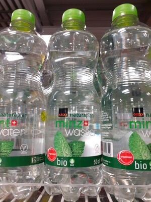 Bio Mint Water 50 cl