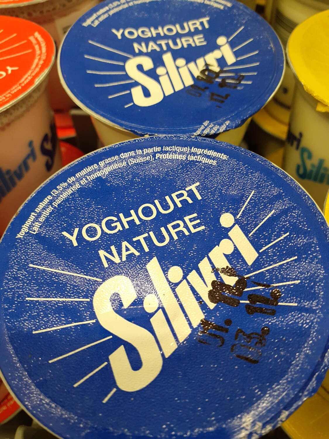 Silivri Yogourt Lait entier Nature 1x450g