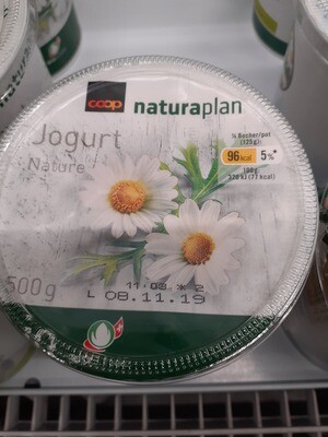 Bio Yogourt Nature 1x500g