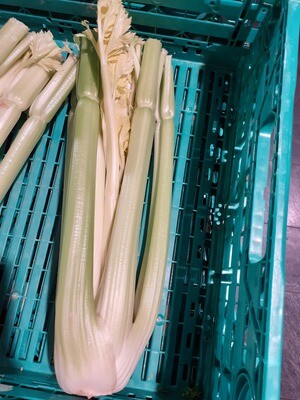 Celeri-branche 500g