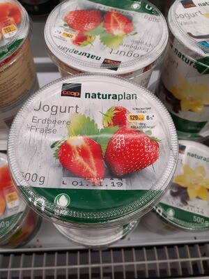 Bio Yogourt Fraise 1x500g