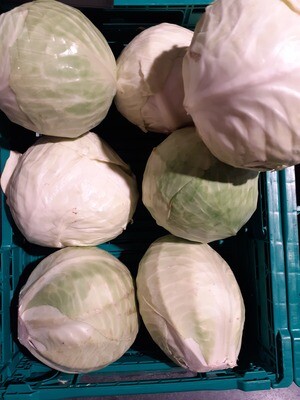 Chou blanc 800g