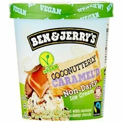 Ben&Jerry's Glace Coconutterly végétalien 100ml