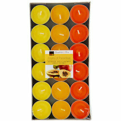 Bougies chauffe-plat Fruits of Paradise 36 pièces